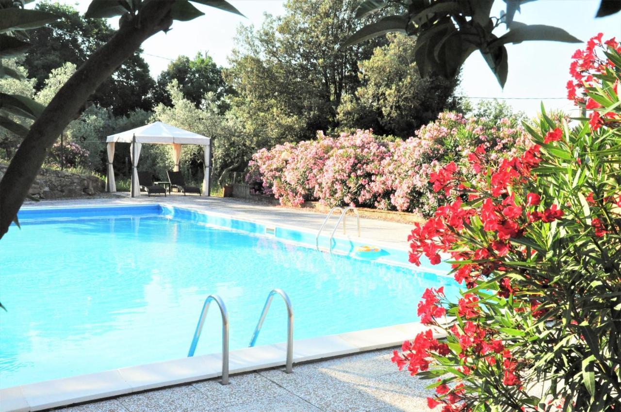 Agriturismo Pereti Roccatederighi Екстериор снимка