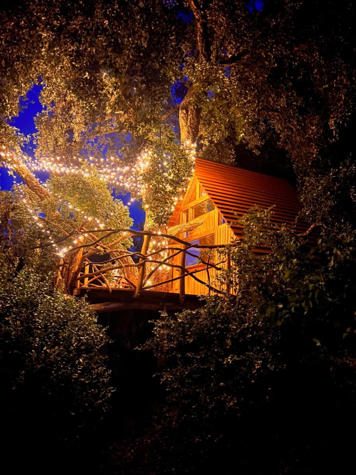Agriturismo Pereti Roccatederighi Екстериор снимка