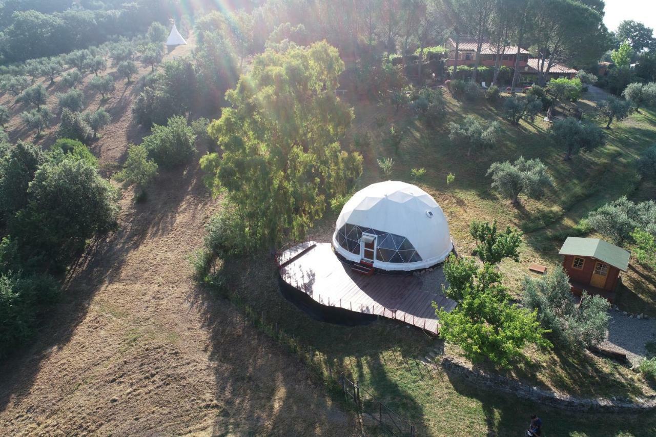 Agriturismo Pereti Roccatederighi Екстериор снимка