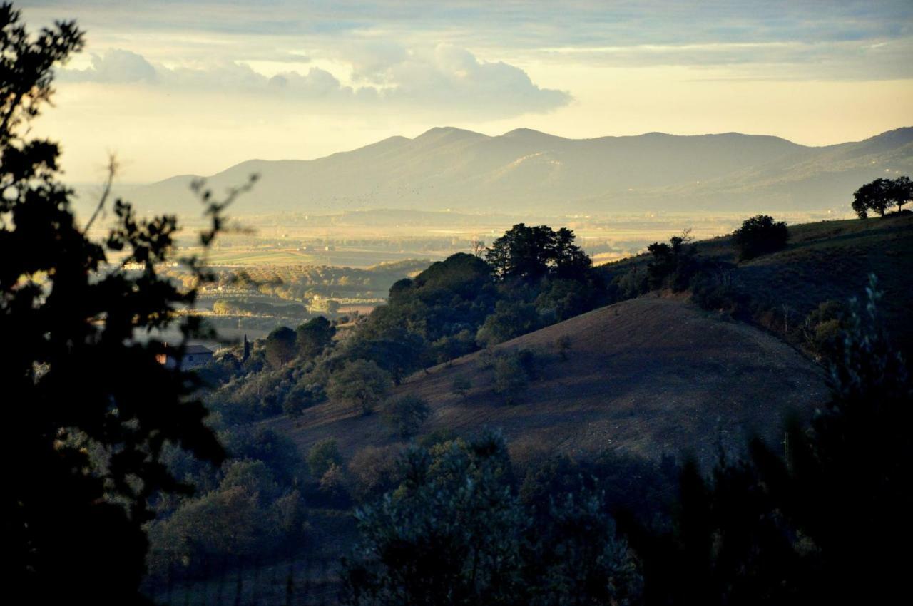 Agriturismo Pereti Roccatederighi Екстериор снимка